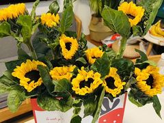 -亭亭鲜花店(中山北路店)