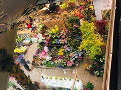 -双季花艺园艺市场(浦东店)