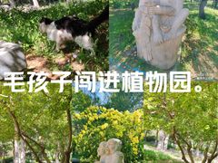 -燕郊植物园