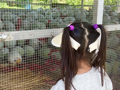 -红旗山庄(圭峰山店)