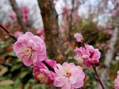 -唐城墙遗址公园