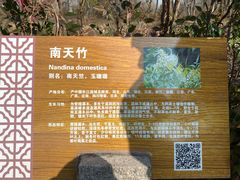 -梁鸿国家湿地公园