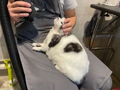 -PETKIT小佩宠物·低压洗护(国顺东路店)