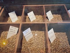 -Vanilla Specialty Coffee(八大关店)