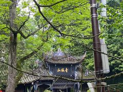 -青城山