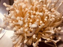 金针菇-马头巷·食景园(苏州总店)