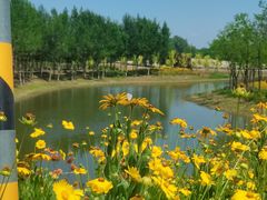 -东郊湿地公园