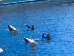 -北戴河圣蓝海洋公园