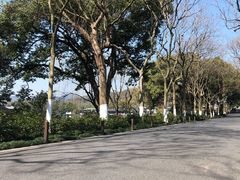 -苏堤停车场