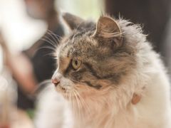 -五月木作·DIY木作文创体验店(北京路店)