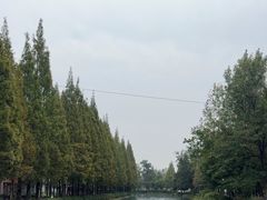 -蜀绣公园