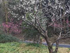 -太湖源风景区