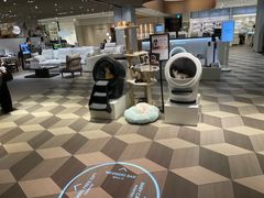 -乐天免税店(明洞店)