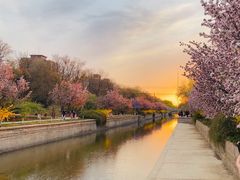 -元大都城垣遗址公园