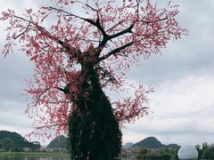 -普者黑风景区-青龙山