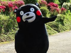 -国庆烧麦馆