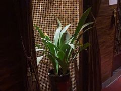 -尚康·按摩SPA·经络养生会所(东城总店)