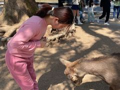 -奈良公园