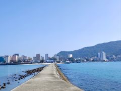 -广东惠东海龟国家级自然保护区