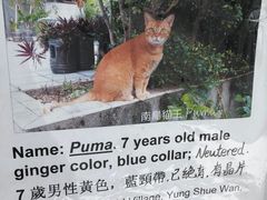 -南丫岛