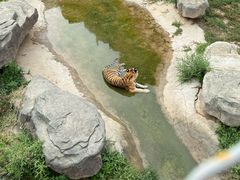 -泉城欧乐堡梦幻世界