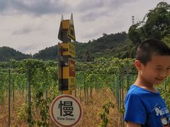 -红山村