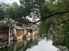 -滋啦啦油煎铺一乌镇萝卜丝饼