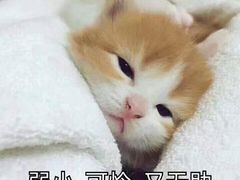 -万宝宝芝林(北辰店)