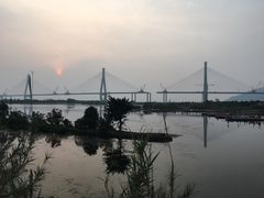 -芒洲湿地公园