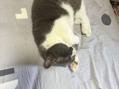 -暖阳宠物医院·犬猫康复中心·骨科