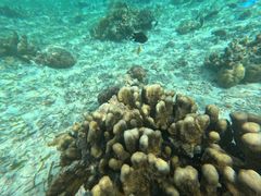 -卡帕莱度假村(西巴丹岛)