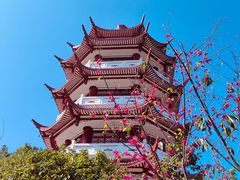 -沙县小吃文化城