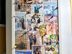 -青奢宠物·青奢猫舍