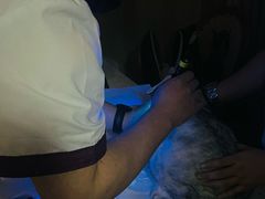 -宠爱国际动物医院·消化内科·心肾内科·ISFM猫友好(望京店)