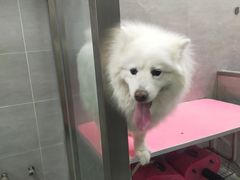 -宠福鑫康馨动物医院·骨科·眼科