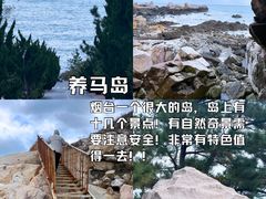 -东辰望海鱼码头·海鲜餐厅