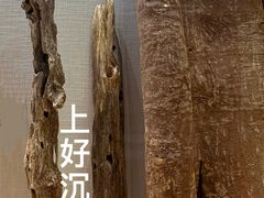 -广东中医药博物馆
