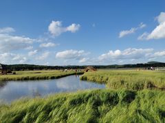 -塞罕坝国家级自然保护区