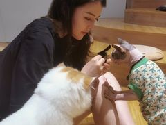-啵啵喵·猫咖(攀华国际店)
