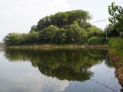 -青龙山国家森林公园