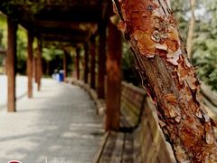 -紫金山索道-售票处