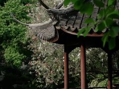 -上海醉白池公园