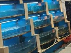 -阿湾楼·温州海鲜·江浙菜(京江路店)