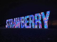 -大明宫国家遗址公园·御道广场