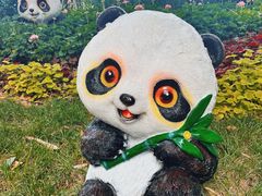 -西安电影制片厂