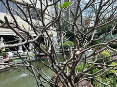 -广州花园酒店