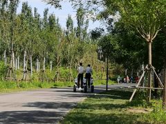 -东郊湿地公园
