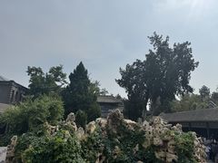 -莲池书院博物馆
