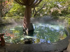 -苏州湾·王焰温泉