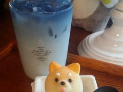 -柴犬高等学院·狗咖·柴犬售卖·宠物训练